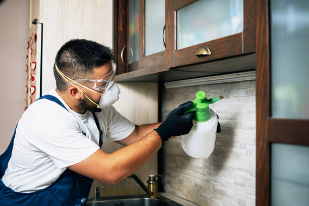 Pest Control Cost in Priceville, AL