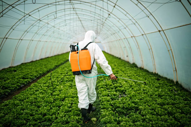 Best Mosquito Control Services  in Priceville, AL